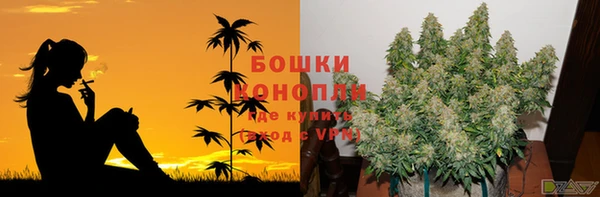 дурь Гусь-Хрустальный
