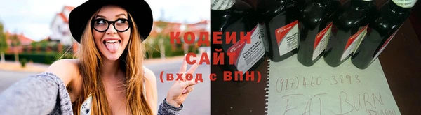 дживик Горняк