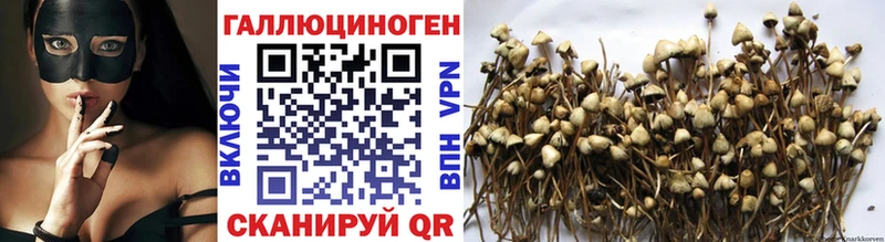 Купить  Тихвин  Галлюциногенные грибы мухоморы 